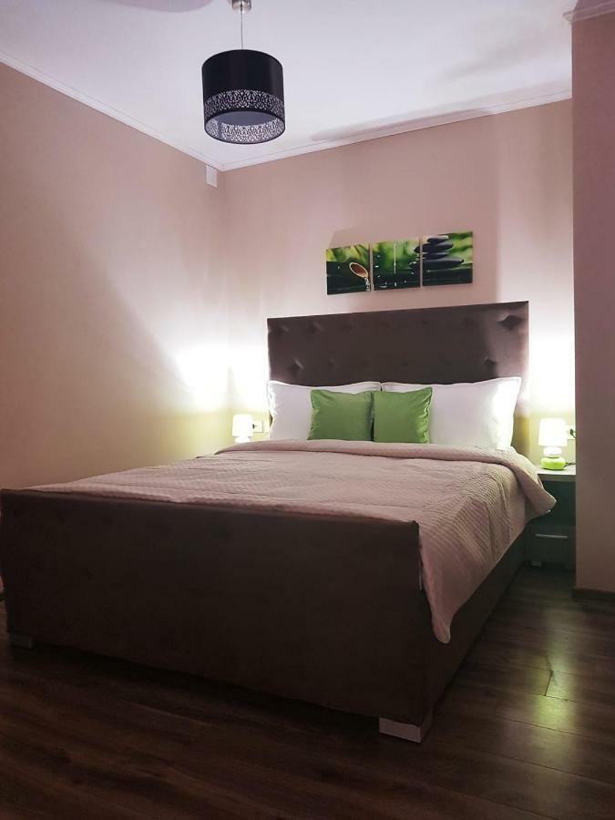 Irina Apartments Тімішоара Екстер'єр фото