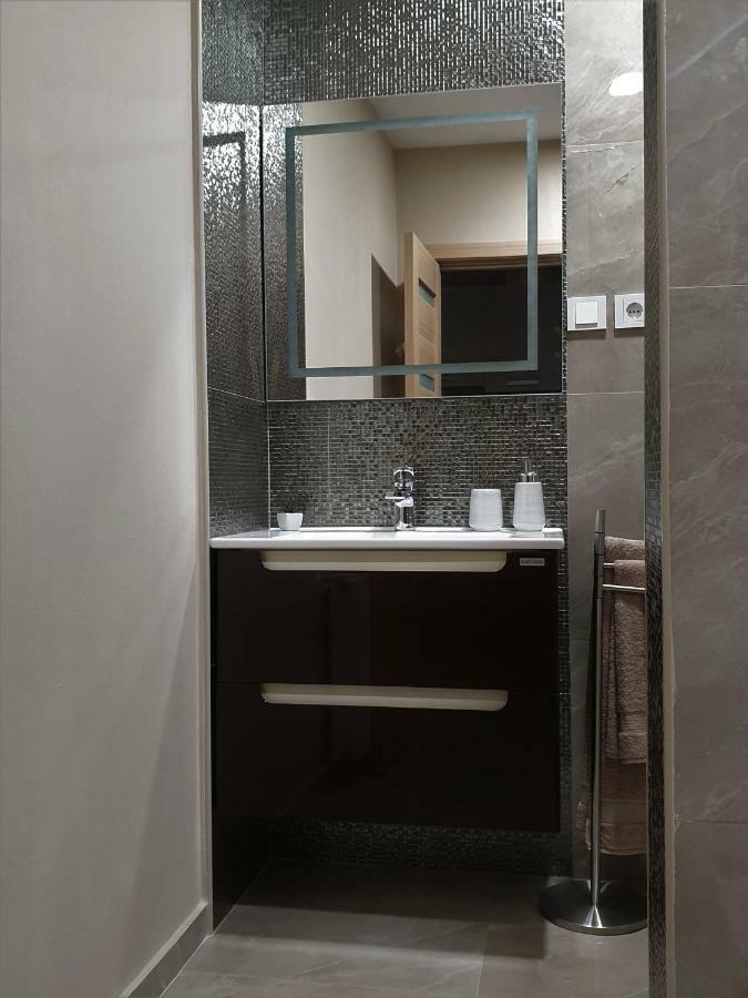 Irina Apartments Тімішоара Екстер'єр фото