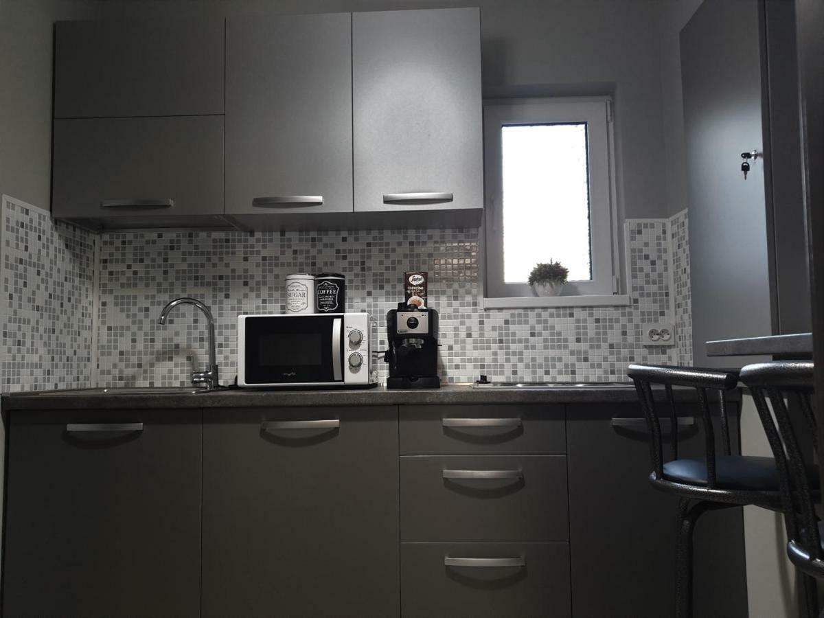 Irina Apartments Тімішоара Екстер'єр фото