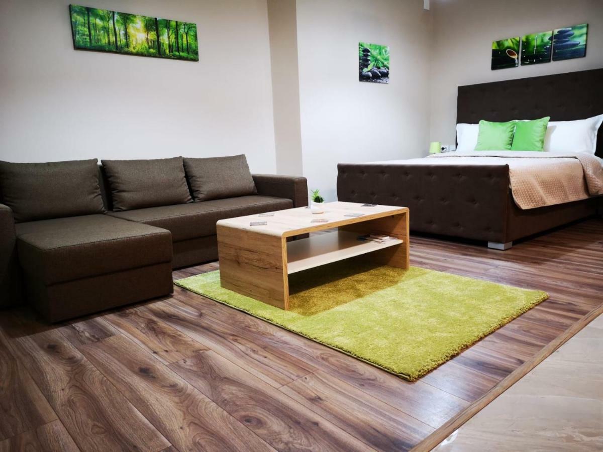 Irina Apartments Тімішоара Екстер'єр фото
