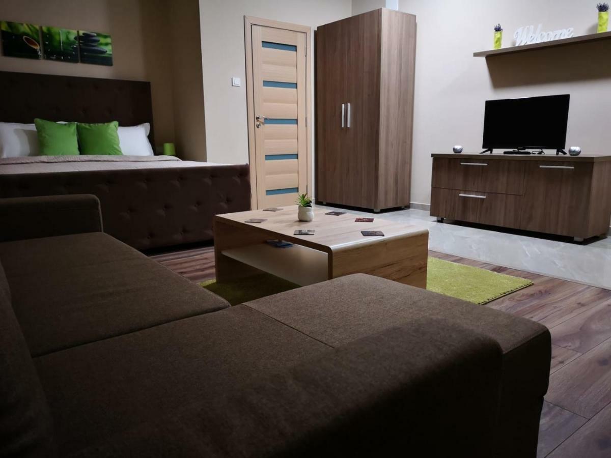 Irina Apartments Тімішоара Екстер'єр фото