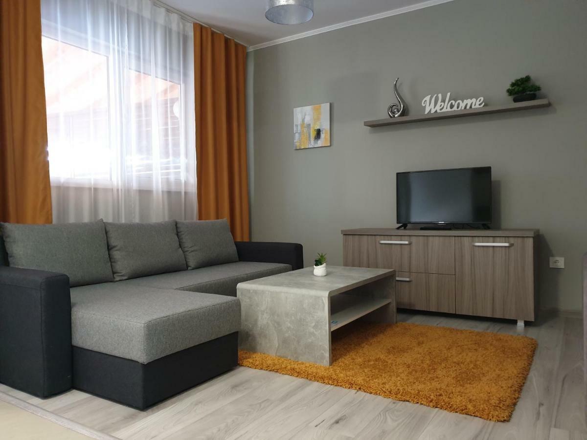 Irina Apartments Тімішоара Екстер'єр фото