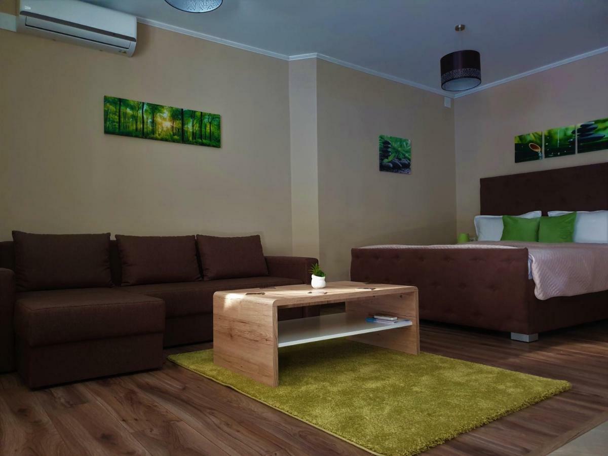 Irina Apartments Тімішоара Екстер'єр фото